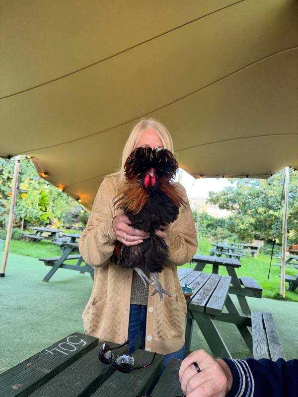 Photo 1 from Witherslack, Cartmel and Dragon the cockerel