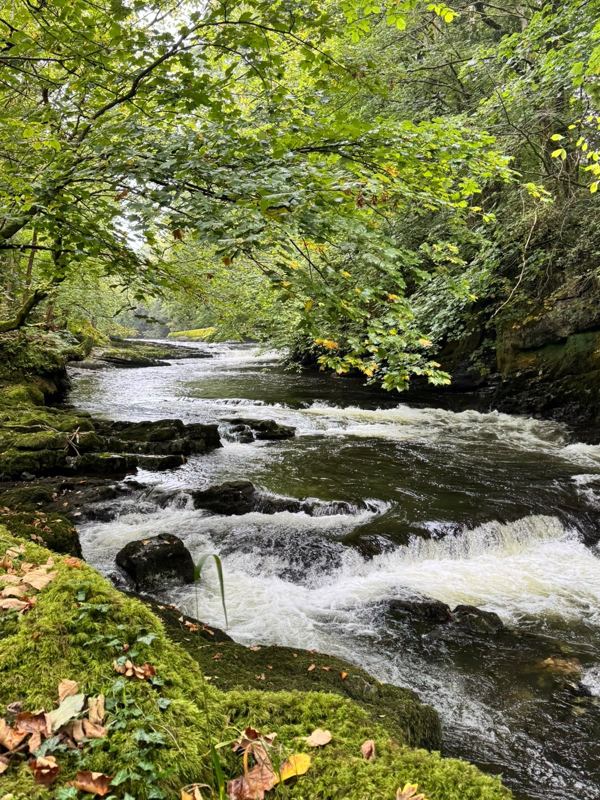 Photo 1 from Five nights at Kendal