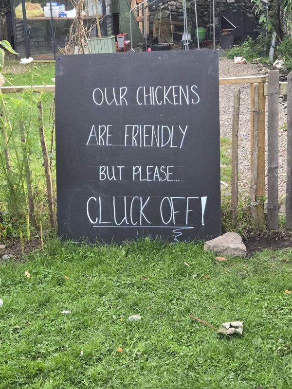 Photo 9 from Witherslack, Cartmel and Dragon the cockerel